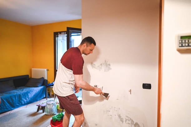 Best Attic Mold Removal  in Hartsville, SC